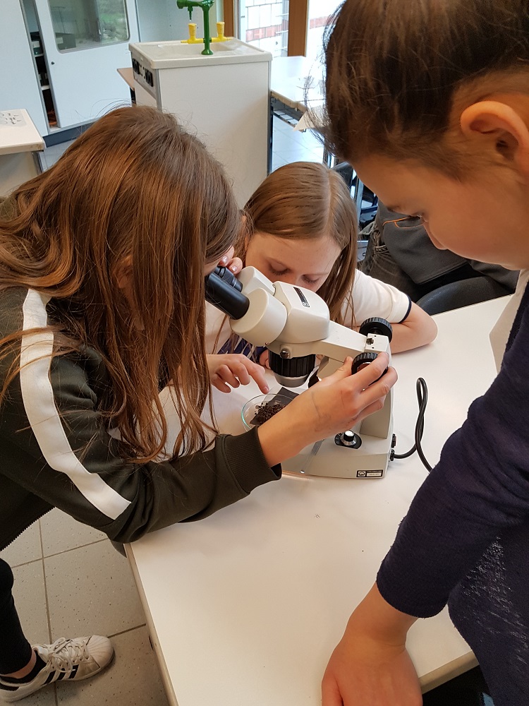 2 Schüler mikroskopieren Bodelebewesen.jpg